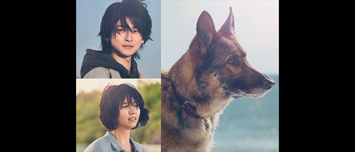 少年と犬